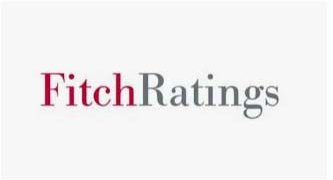Finance and leasing companies remain more susceptible to interest rate risk: Fitch