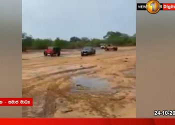Tour operators and forest officers blamed for minister son’s misbehaviour in ‘Yala’ sanctuary.