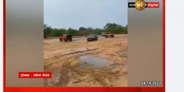 The Yala park issue is being suppressed by suspending junior officers.