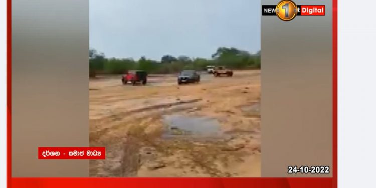 Wildlife director learns about Yala incident on Facebook.