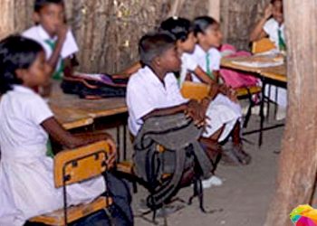 3,000 hungry kids quit school. The administration has allocated 320 automobiles to state ministers and 300 litres to district chairmen.