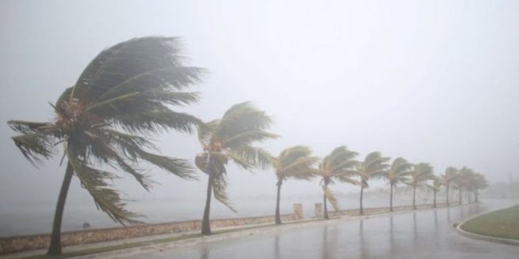 Red alert issued for strong winds & rough seas