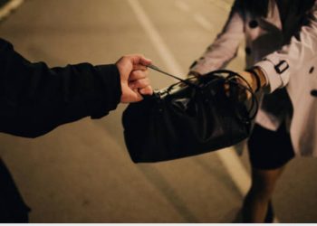 Police are investigating the theft of an American Embassy officer’s handbag.