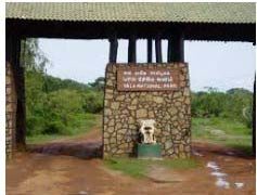 Court orders to arrest suspects and seize all vehiclesThe Yala incident