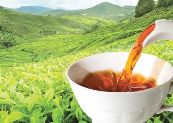 The price of Ceylon Tea continues to struggle.