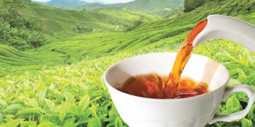 The price of Ceylon Tea continues to struggle.