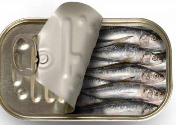 Five substandard fish manufactures not sued by consumer authority! Audit report exposes the dirty ways of the authority