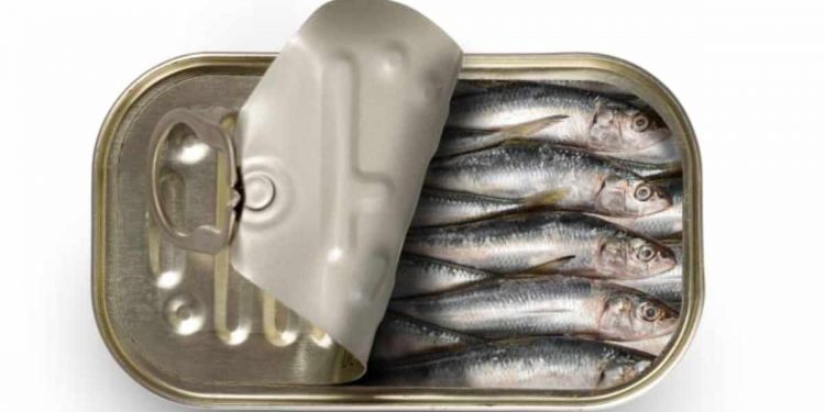 Five substandard fish manufactures not sued by consumer authority! Audit report exposes the dirty ways of the authority