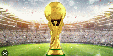 FIFA tickets in Qatar most expensive in history: Keller Sports