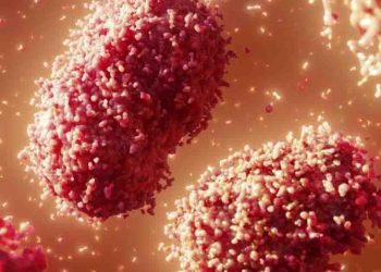 Monkeypox: Sri Lankan confirms second case