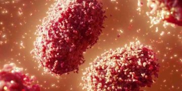 Monkeypox: Sri Lankan confirms second case