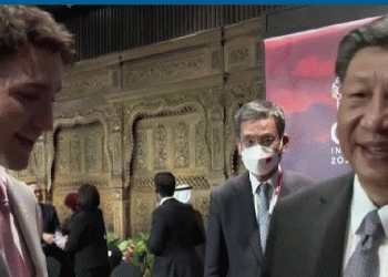 Xi Jinping confronts Canada’s Trudeau at G20