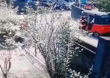 These are the ferocious beasts! Dropped off old mother on the highway, vanished waving at her! Will the cops find it? (VIDEO)
