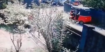 These are the ferocious beasts! Dropped off old mother on the highway, vanished waving at her! Will the cops find it? (VIDEO)