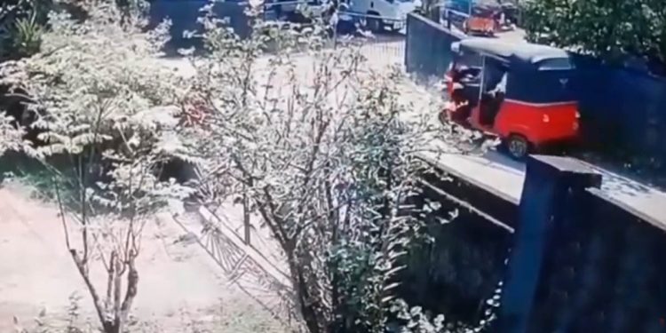 These are the ferocious beasts! Dropped off old mother on the highway, vanished waving at her! Will the cops find it? (VIDEO)