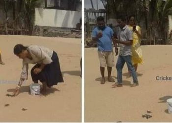 Danushka’s mother releases baby turtles in hopes of his release