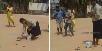 Danushka’s mother releases baby turtles in hopes of his release