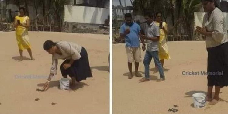 Danushka’s mother releases baby turtles in hopes of his release
