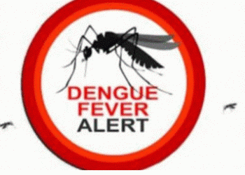 Dengue On The Rise : How do we prevent it?