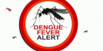 Dengue On The Rise : How do we prevent it?