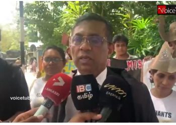 The court examined killing mother elephants and removing their babies!Gotabhaya had one as well!(VIDEO)