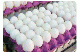 Record fine on eggs