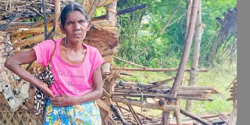 Drug traffickers set fire to Mrs. Lisi Nona’s house after she spoke out against drugs and cannabis!