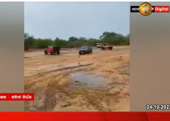 Tissamaharama Magistrate refuse to release the seven vehicles illegally visited yala wild life park