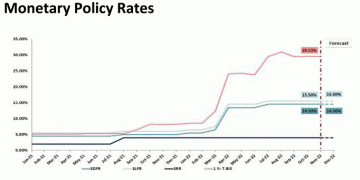 65-pct probability for rates to remain unchanged at upcoming policy review: FCR