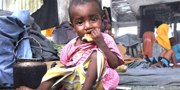 Foster parents for 40,000 malnourished children