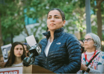 Record number of Muslims elected in US midterms: ‘We should lean into who we are’
