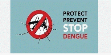 Health Ministry declares Dec. 30, 31 Dengue Prevention Days