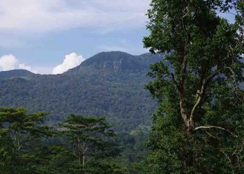 Visit to Ruhunu kanda ‘leave only your foot steps’ take away your baggage!