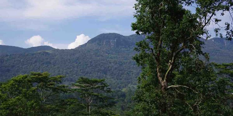 Visit to Ruhunu kanda ‘leave only your foot steps’ take away your baggage!