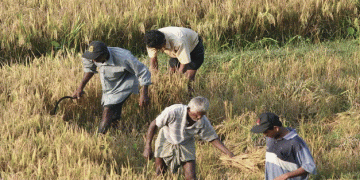 USAID-financed SME food suppliers of Sri Lanka retail chain