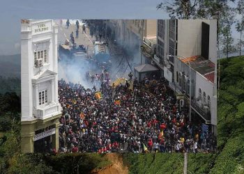 How a Ruling Family Tipped Sri Lanka Into Economic Free Fall