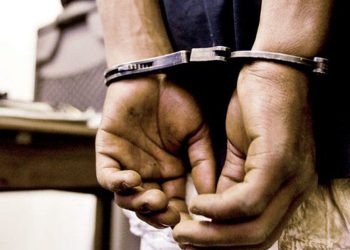 Pradeshiya Saba Chairman and elder brother nabbed for fraud