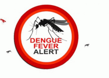 Dengue rising: Over 70,000 cases reported in 2022.
