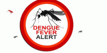 Dengue rising: Over 70,000 cases reported in 2022.