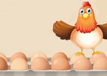 Egg producers reject court-set prices.