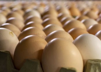 In 20 Colombo and Gampaha locations, Amarweera sells eggs for 55! In other places, the egg is 70!