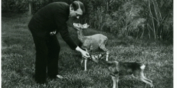 Hitler at home: How the Nazi PR machine remade the Führer’s domestic image and duped the world