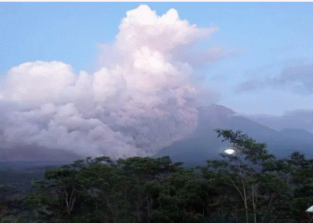 Mount Semeru: Indonesia raises alert to highest level as volcano erupts on Java island