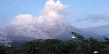 Mount Semeru: Indonesia raises alert to highest level as volcano erupts on Java island