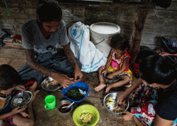 Three in ten households lack sufficient food – United Nations