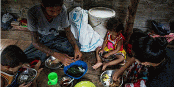 Three in ten households lack sufficient food – United Nations