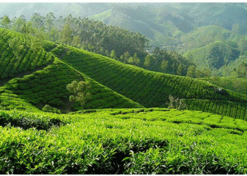 Sri Lankan plantation land expropriation violates property rights and scares investors.