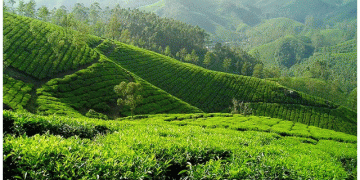 Sri Lankan plantation land expropriation violates property rights and scares investors.
