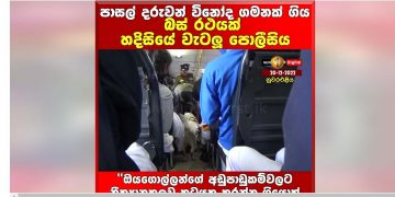 Police dogs used to search a school picnic bus for drugs!(VIDEO)