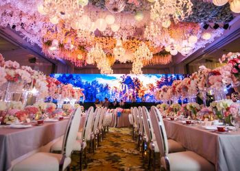 In the midst of a lavish wedding in Shangri-la, a secret meeting of political VIPs was also held